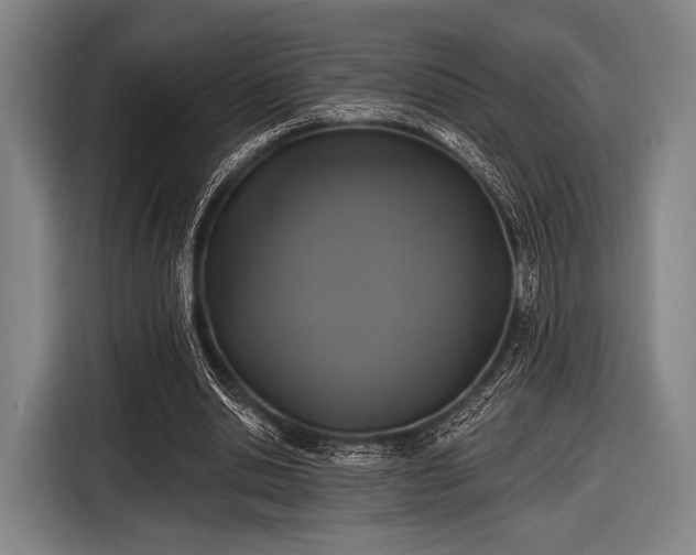 X0000116490438200912161322