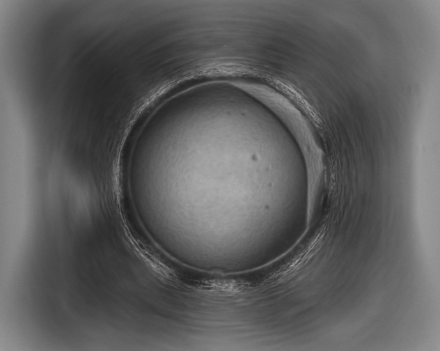 X0000116490439200912161322