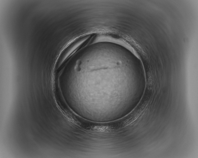 X0000116490440200912161322