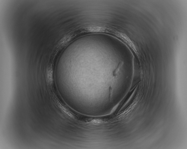 X0000116490441200912161322