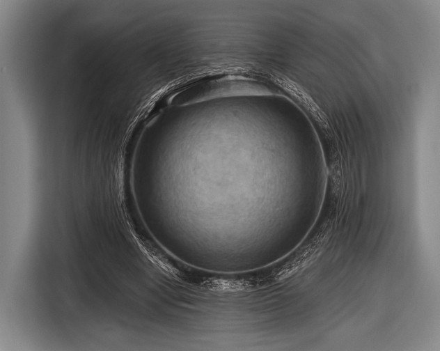 X0000116490442200912161322