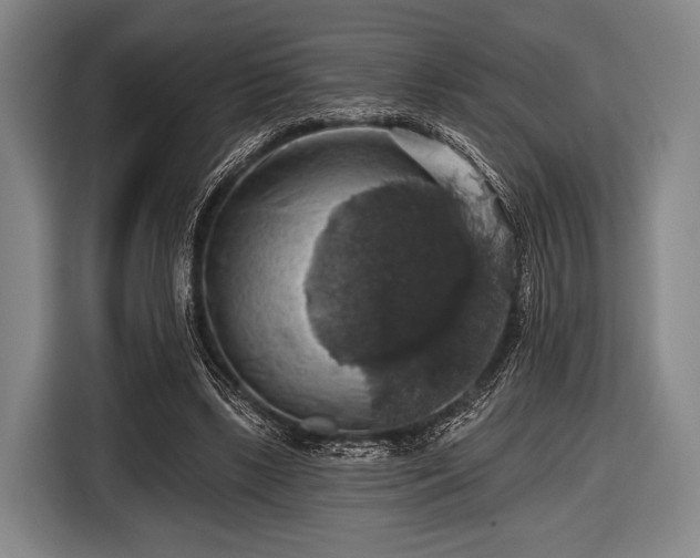 X0000116490443200912161322