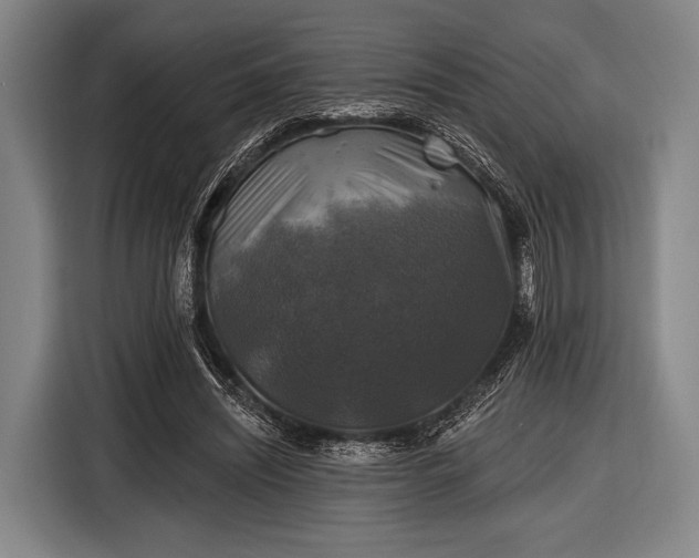 X0000116490444200912161322