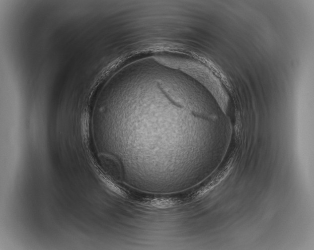 X0000116490445200912161322