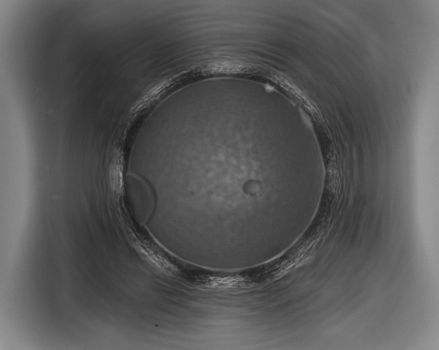 X0000116490446200912161322