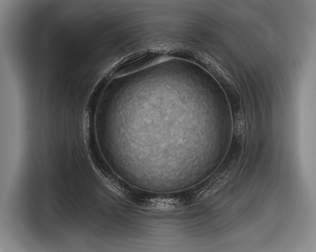 X0000116490448200912161322