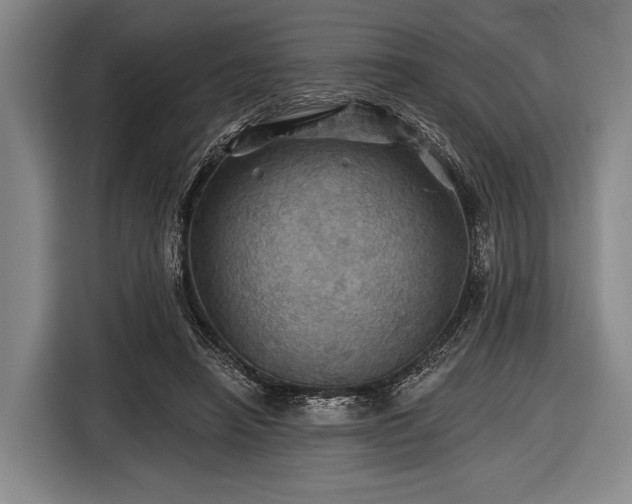 X0000116490450200912161322