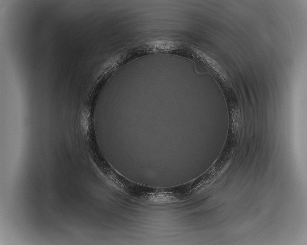 X0000116490451200912161322