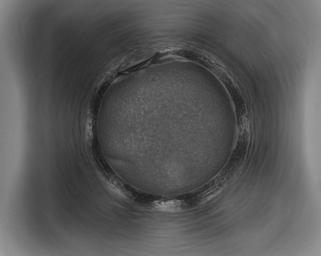 X0000116490452200912161322