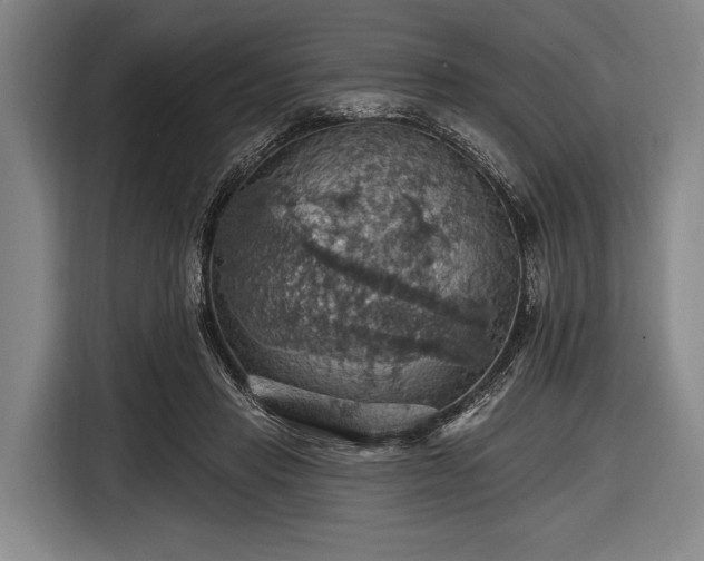 X0000116490453200912161322