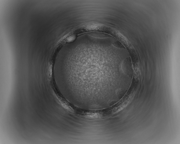 X0000116490454200912161322