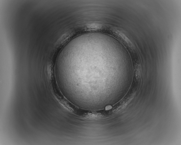 X0000116490455200912161322