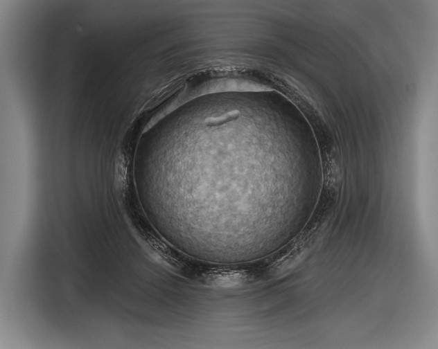 X0000116490456200912161322