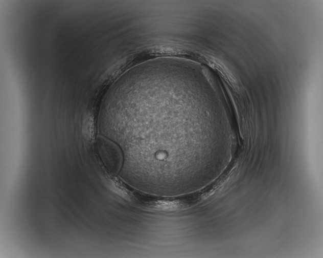 X0000116490457200912161322