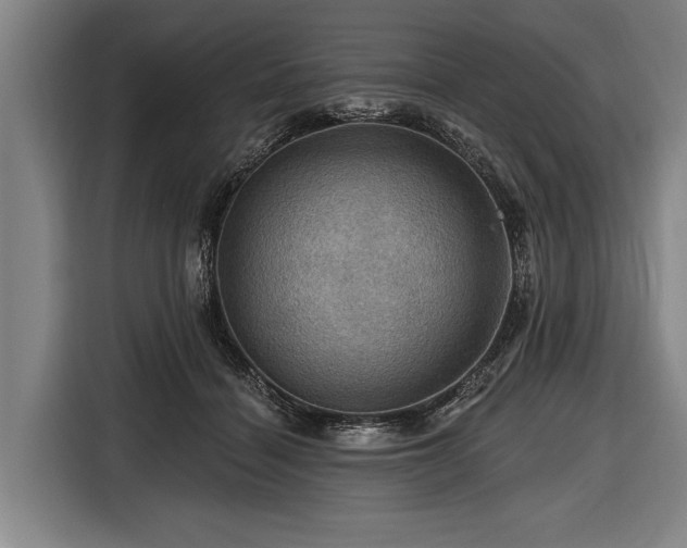 X0000116490460200912161322