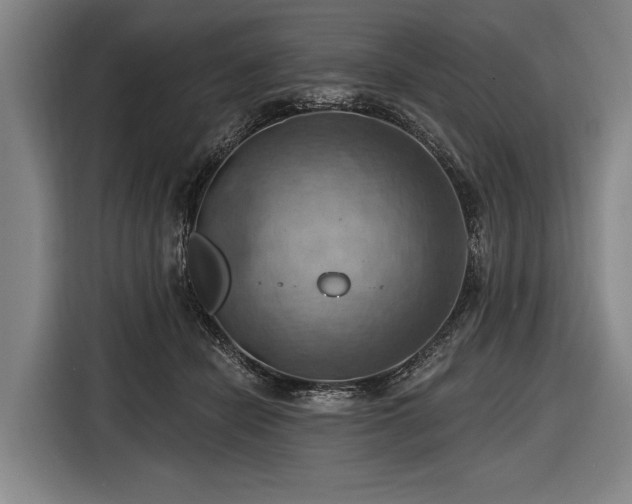 X0000116490462200912161322