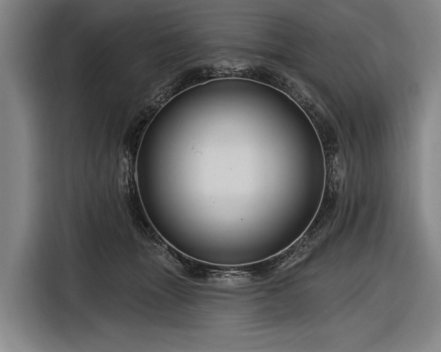 X0000116490463200912161322