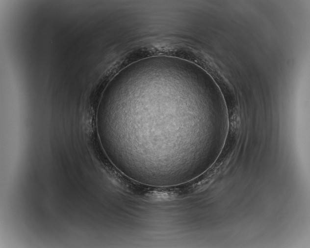 X0000116490464200912161322