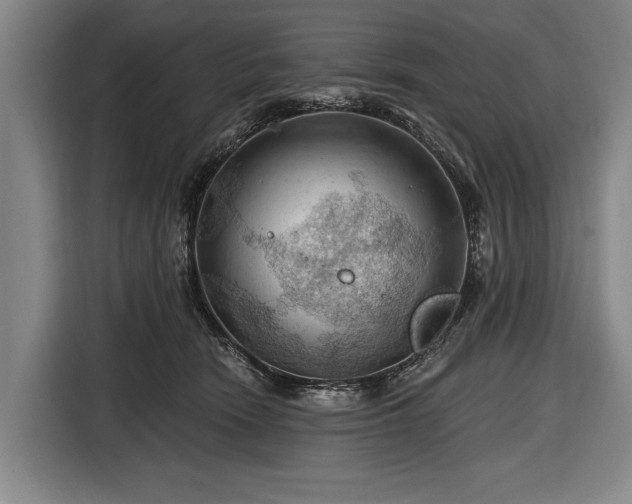 X0000116490466200912161322