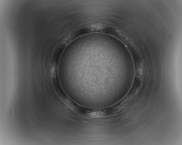 X0000116490468200912161322