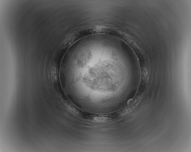 X0000116490470200912161322