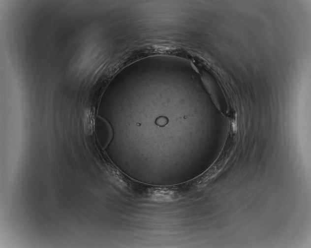 X0000116490471200912161322