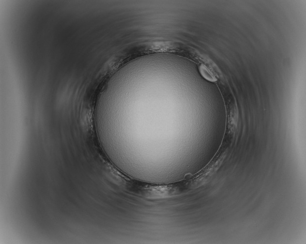 X0000116490473200912161322