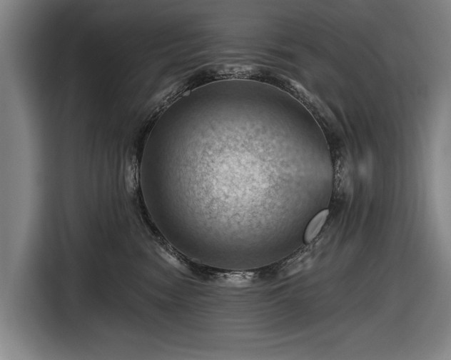 X0000116490474200912161322