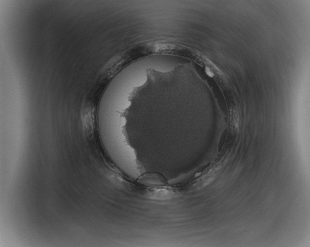 X0000116490475200912161322