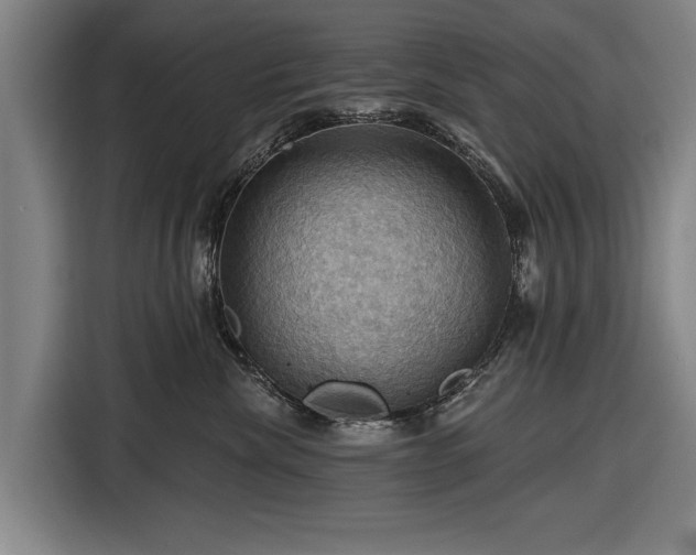 X0000116490476200912161322