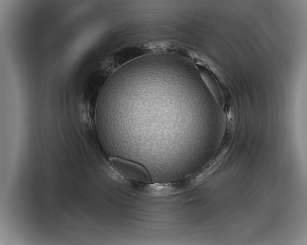 X0000116490477200912161322