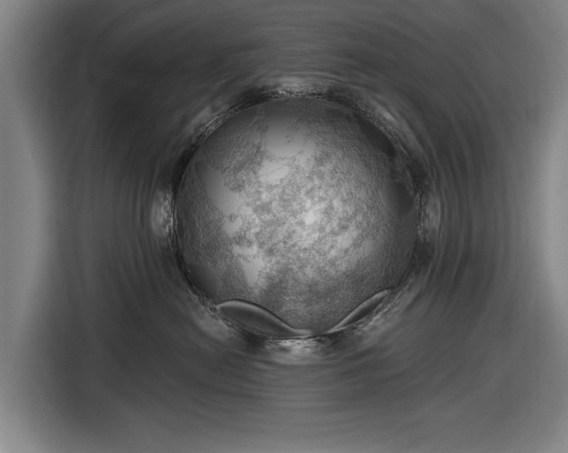 X0000116490478200912161322