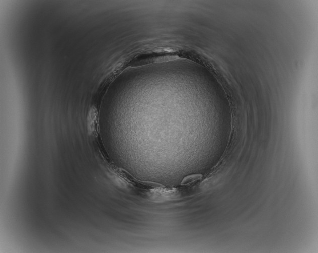 X0000116490480200912161322