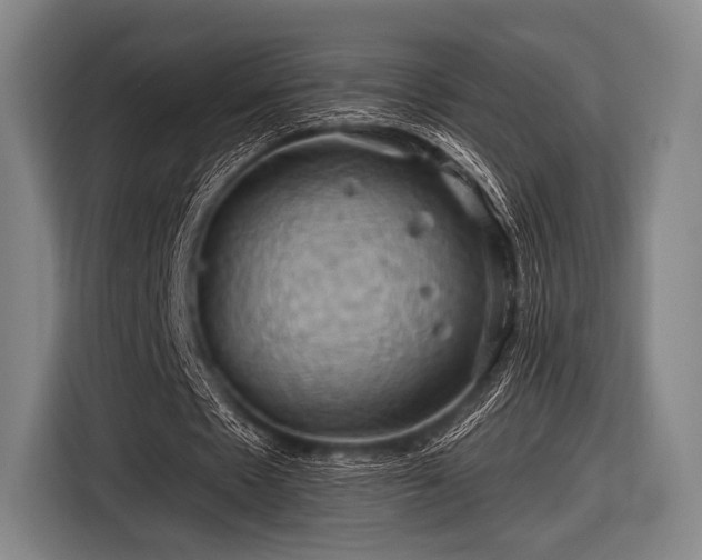 X0000116490481200912161322