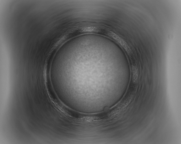 X0000116490482200912161322