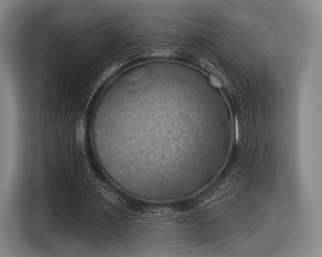 X0000116490483200912161322