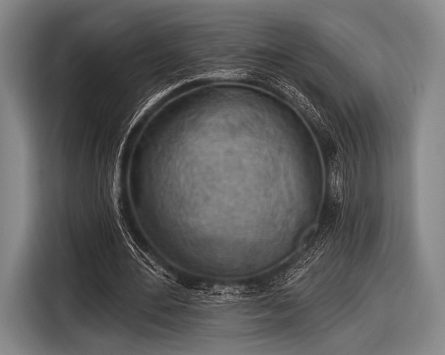 X0000116490484200912161322