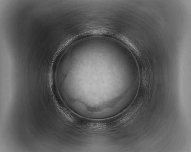 X0000116490486200912161321