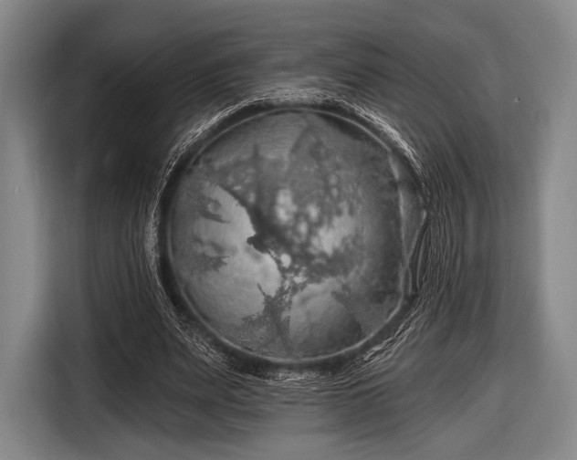 X0000116490487200912161321