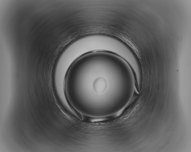 X0000116490489200912161321