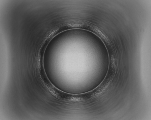 X0000116490490200912161321