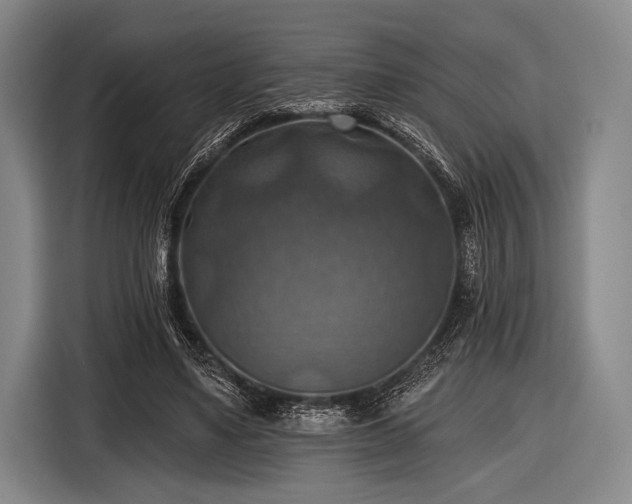 X0000116490491200912161321