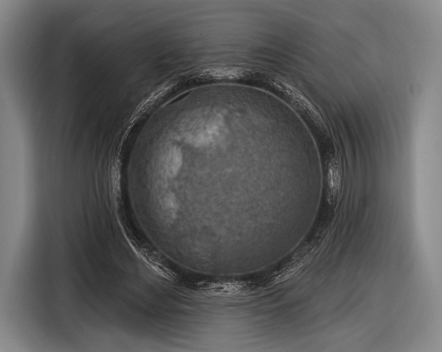 X0000116490492200912161321