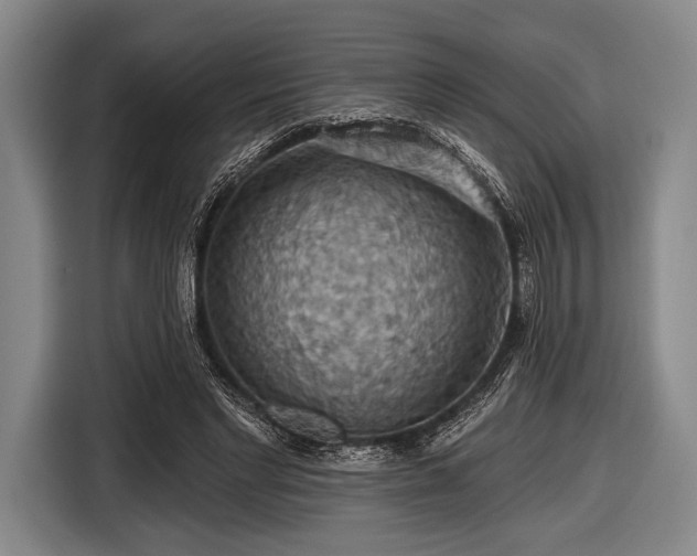 X0000116490493200912161321