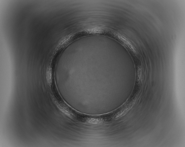 X0000116490494200912161321