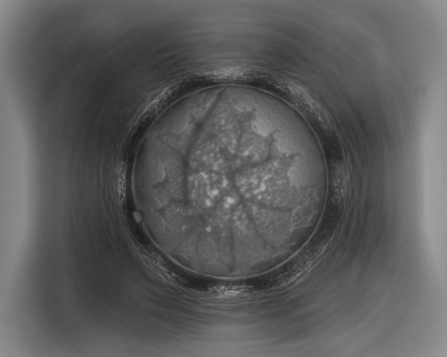 X0000116490495200912161321