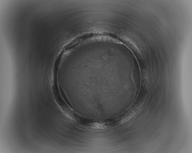 X0000116490496200912161321