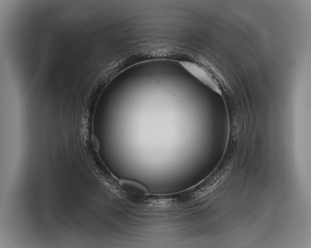 X0000116490497200912161321