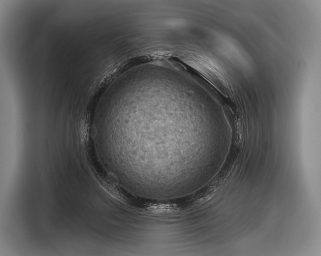 X0000116490499200912161321