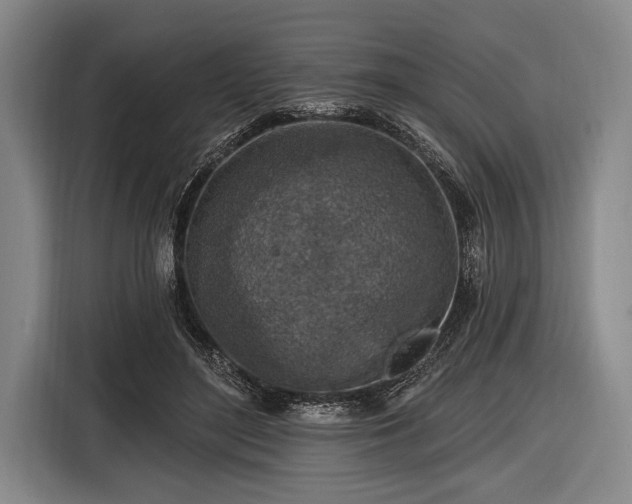 X0000116490500200912161321